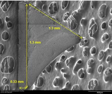 Figure 2-2. Nominal Grit Dimensions on a Carbon Tape Background in a SEM 