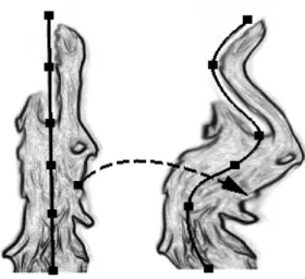 Figure 3.1: Spline movement impact on the shape of the whole flame.
