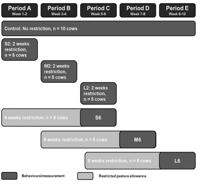 Figure 1: Study design for assessing the effect of restricted (60 %) pasture allowance compared  to  control  (100  %)  pasture  allowance  on  cow  behaviour  with  two  different  durations  of  restriction (2 week s (2) and 6 weeks (6)) and three differ
