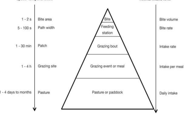 Figure 1: Spatio-temporal components of grazing behavior after  Andriamandroso  et al