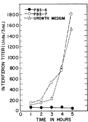 FIG. 3.interferon Lack ofeffect ofpH 6.0 on initial interaction andL cells. L cells were incubatedfor 15 hr