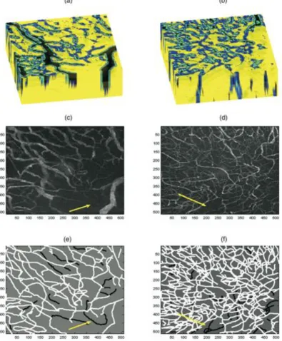 Figure 4. Comparison of the image segmentation algorithm with a manual method. (a, b) 