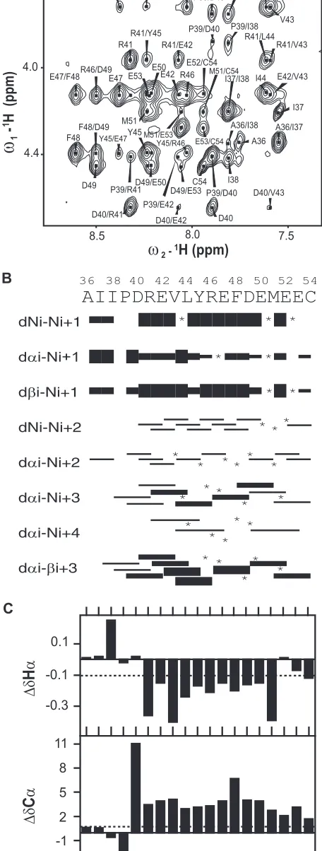 FIG. 7. NMR analysis of NS4A[36-54]. (A) Extract of the amide-aliphatic region of the NOESY spectrum recorded with the peptide at