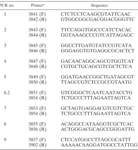 TABLE 2. PCR primers used to amplify the HCV NS genes