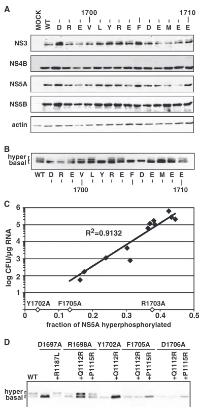 TABLE 4. Sequence analysis of replicons in selected blasticidinS-resistant cell clones
