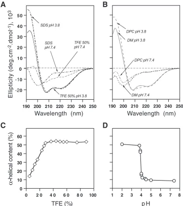 FIG. 6. pH-dependent folding of NS4A[36-54]. (A and B) CD spectra of the peptide in 10 mM sodium phosphate buffer (pH 3.8 or 7.4)containing 50% TFE or 100 mM SDS (A) or 100 mM DM or DPC (B)