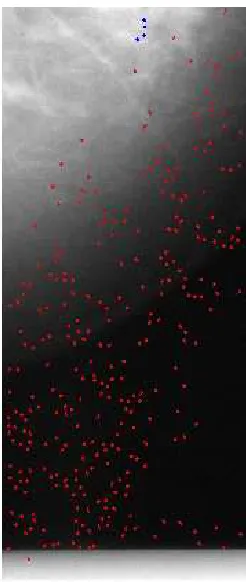 Figure 2.5: Worst output with wavelet based approach. False positives = 285, False negatives = 6 (blue - trueMC, red - detected MC)