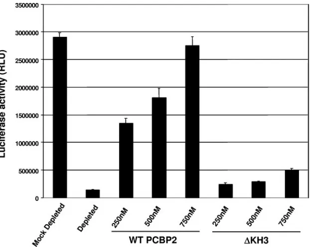 FIG. 8. Rescue of viral RNA replication in PCBP-depleted HeLa cell S10 extracts. In parallel experiments to the in vitro translation reactionsshown in Fig