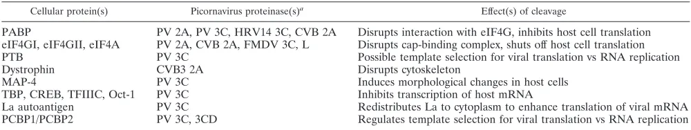 TABLE 1. Examples of cellular proteins cleaved during picornavirus infections