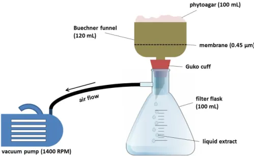 Figure 24:  Simplified scheme of the experimental setup for vacuum filtration (not to scale).