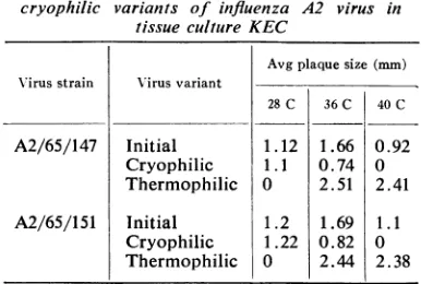 TABLE 2. Efficiency ofplaque formation of cryophilic and thermophilic varianlts of influenza A2virus in chick embryo kidney culture incubated at 36, 28, alnd 40 C