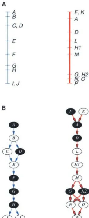 Figure 2A illustrates the problem of assigning locus
