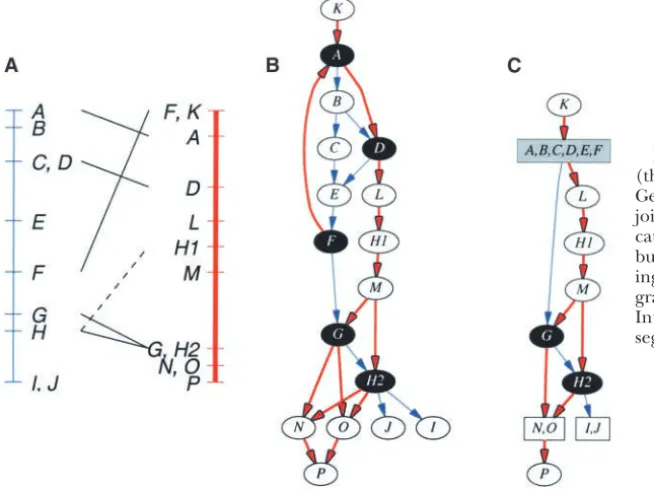 Figure 2.—Production of an integrated graph(thin line, blue study; thick line, red study)