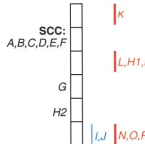 Figure 5.—Condensed nodes (thin line, blue study; thickchor nodes. (B) Fully condensed integrated graph