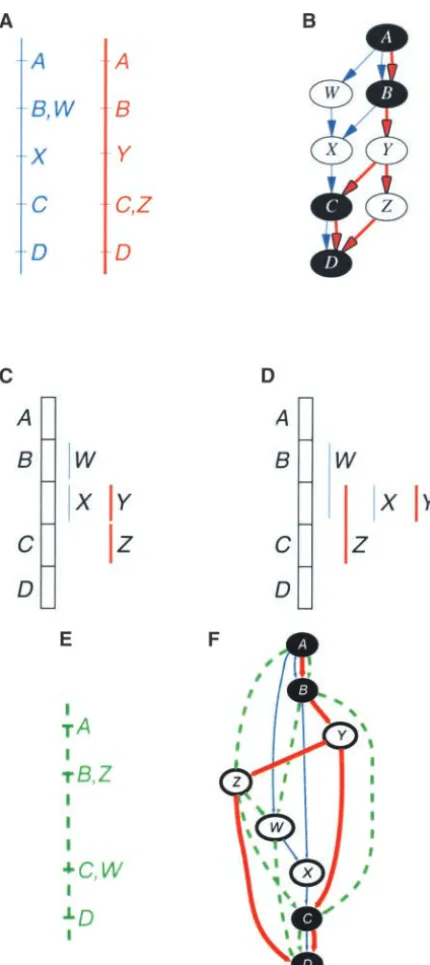 Figure 7.—Inaccurate interval representation (see text fordetails).