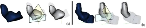 Fig. 2. Ear impressions;(a) Half shell, (b) Canal shell; undetailed shapes (left); detailed shapes with(middle) and without cutting planes (right).