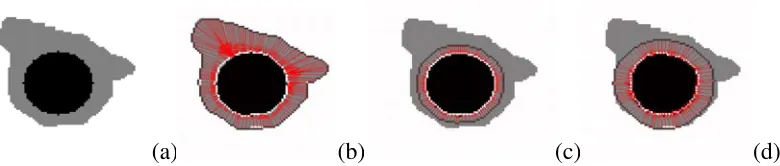 Fig. 4.The divergence inequality constraint on the vector ﬁeld that maps the inner boundary towards the outer boundary demonstrated on