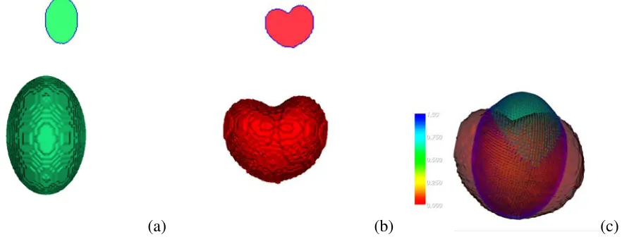 Fig. 1.(a)-(b) Two binary image volumes which have a non-rigid correspondence (visualized by their zero level sets in 3D and a 2D