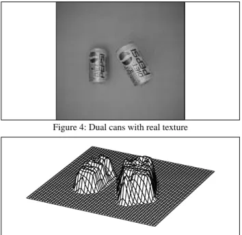 Figure 5: Reconstructed surfaces