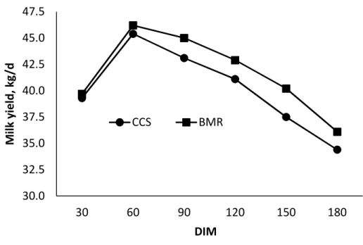 Figure 3.2. Effects of feeding corn silage-based diets on milk yield averaged at 30 d  intervals for Holstein dairy cows from the onset of lactation through 180 days-in-milk
