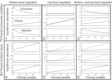 Figure 3 Analytical steady states of a simple food chain system with linear prey-dependency (eqns 16eregulation, dashed with top-level uptake regulation