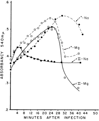 FIG. 4.flaskpendedAmeasuredAttryptone-Na+,ice13.5.tocritwerewith 1-ml 2-min Volume changes upon infection of K-12 (X) r+ or r1993 phage