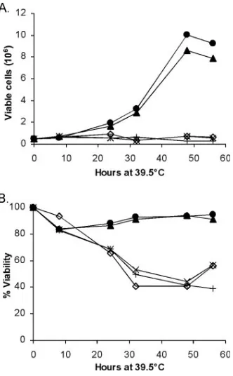 FIG. 6. The �port growth and survival in 7C411 cells. Temperature-sensitive 7C411cells (6) that had been superinfected with wild-type virus or one ofseveral of the133 mutant;(B) at the nonpermissive temperature (39.5°C)