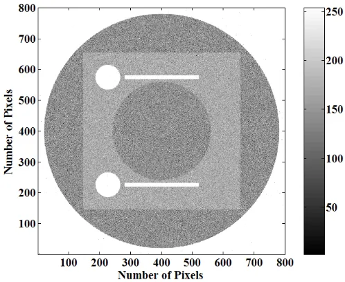 Figure 2.11. MCNP simulated radiograph of BPI.  The pixel resolution is 50µm. 