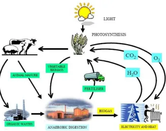 Figure 6. Carbon dioxide closed cycle for biogas (The Sietch, 2013). 