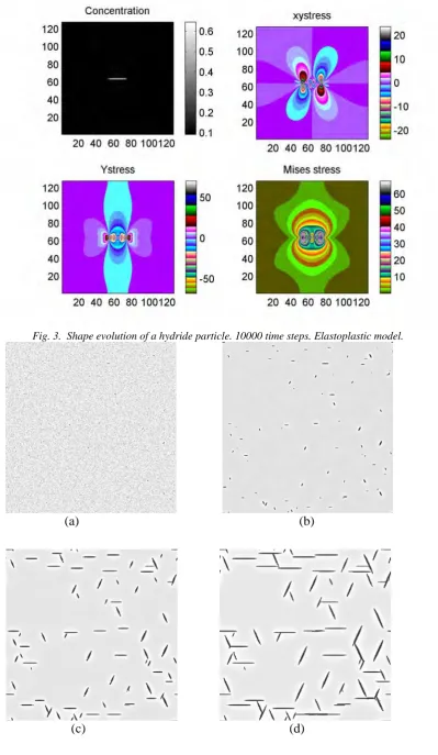 Fig. 3.  Shape evolution of a hydride particle. 10000 time steps. Elastoplastic model