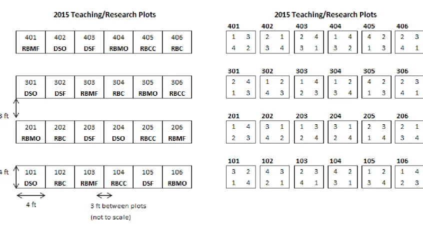 Figure 1: Example of crop rotation scheme for the 2015 field season.  