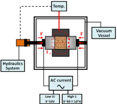 Fig.1 Illustration of the Micro-FAST sintering and forming process 