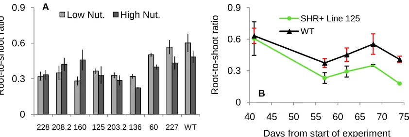 Figure 4.  The mean ±time points.  The data point for day 74 in SHR+ line 125 does not have an error bar because the second tree died