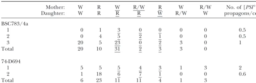 TABLE 3