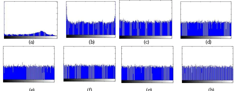 Figure 5(a): Plain image, (b – d) Cipher image obtained using Skew Tent map with (b) Key 1: 8D6CFB3A538F493DAEDCFD2CFA87A5E6,(c) Key 2: AD6CFB3A538F493DAEDCFD2CFA87A5E6, (d) Key 3: 8D6CFB3A538F493DAEDCFD2CFA87A5E8