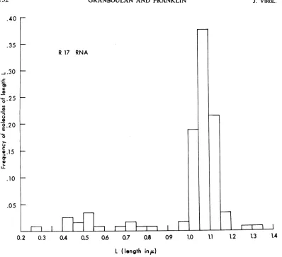 FIG. 2.thewere Histogram of the length distribution ofR17 RNA spread in the presence of urea; a total of117 molecules analyzed