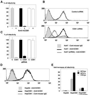 FIG. 5. Involvement of hCD81 in the infection of HCVpv and HCVrv. (A) Effect of anti-hCD81 antibody on the infectivity of HCVpv(gray-ﬁlled bars), HCVrv (black-ﬁlled bars), or VSVpv (open bars) in Huh7 cells