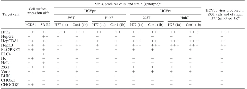 TABLE 1. Infectivity of HCVpv, HCVrv, or HCVpp in various cells