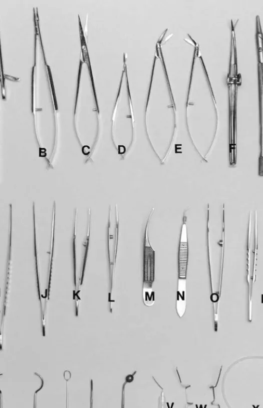 Fig. 3.5 A basic set of instruments for intraocular surgery