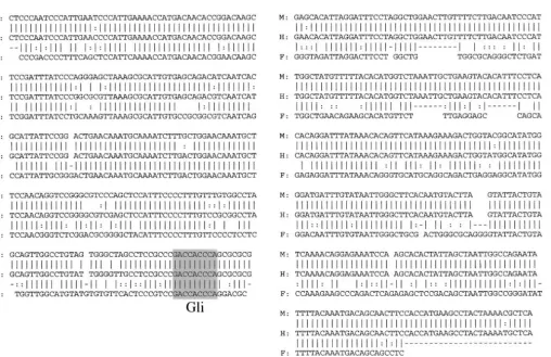 Figure 2.—Sequence alignment of CNS-6 (A) and CNSare the only two segments of noncoding sequences that show a signiﬁcant degree of homology among humans, mice, and Fugu.Vertical bars, double dots, and dashes indicate perfect matches, transitions, and gaps,