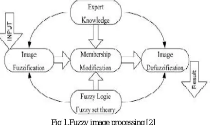 Fig 1.Fuzzy image processing [2]  