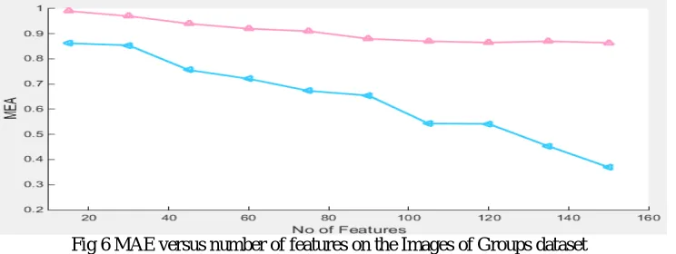 Fig 6 MAE versus number of features on the Images of Groups dataset 