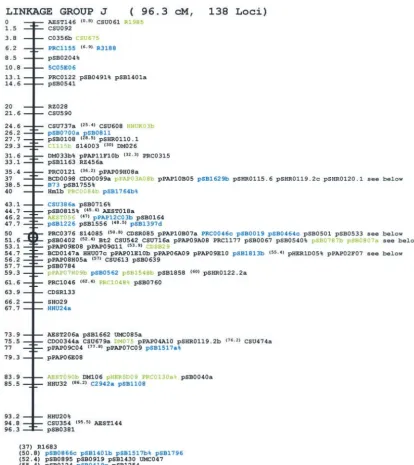 Figure 1.—Continued.