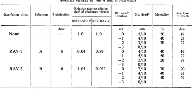 TABLE 4. Susceptibility of reticuloendotheliosis virus infected cells to infection withsarcoma viruses of the A and B subgroups