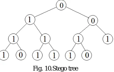 Fig. 10.Stego tree 