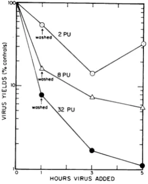 FIG.1.feron.ofwashedreceivedPFUwere1, 3, interferon. Kinetics of interference resultingfrom inter- Cultures ofchick embryo cells were incubatedfor and 5 hr at 37 C with 2, 8, and 32 protective units At each interval of time, cultures were and infected by t
