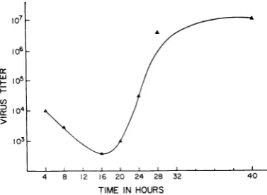 FIG. 1. Cell-bowzid infectivity ofadenovirus type 12.