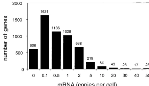 Figure 1.—Distribution of transcript abundances of yeastgenes. Data are from Holstege et al