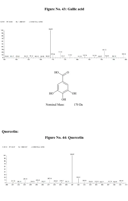 Figure No. 43: Gallic acid 