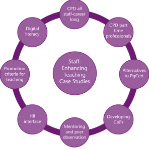 Figure 3: Case studies produced by the staff: enhancing teaching project
